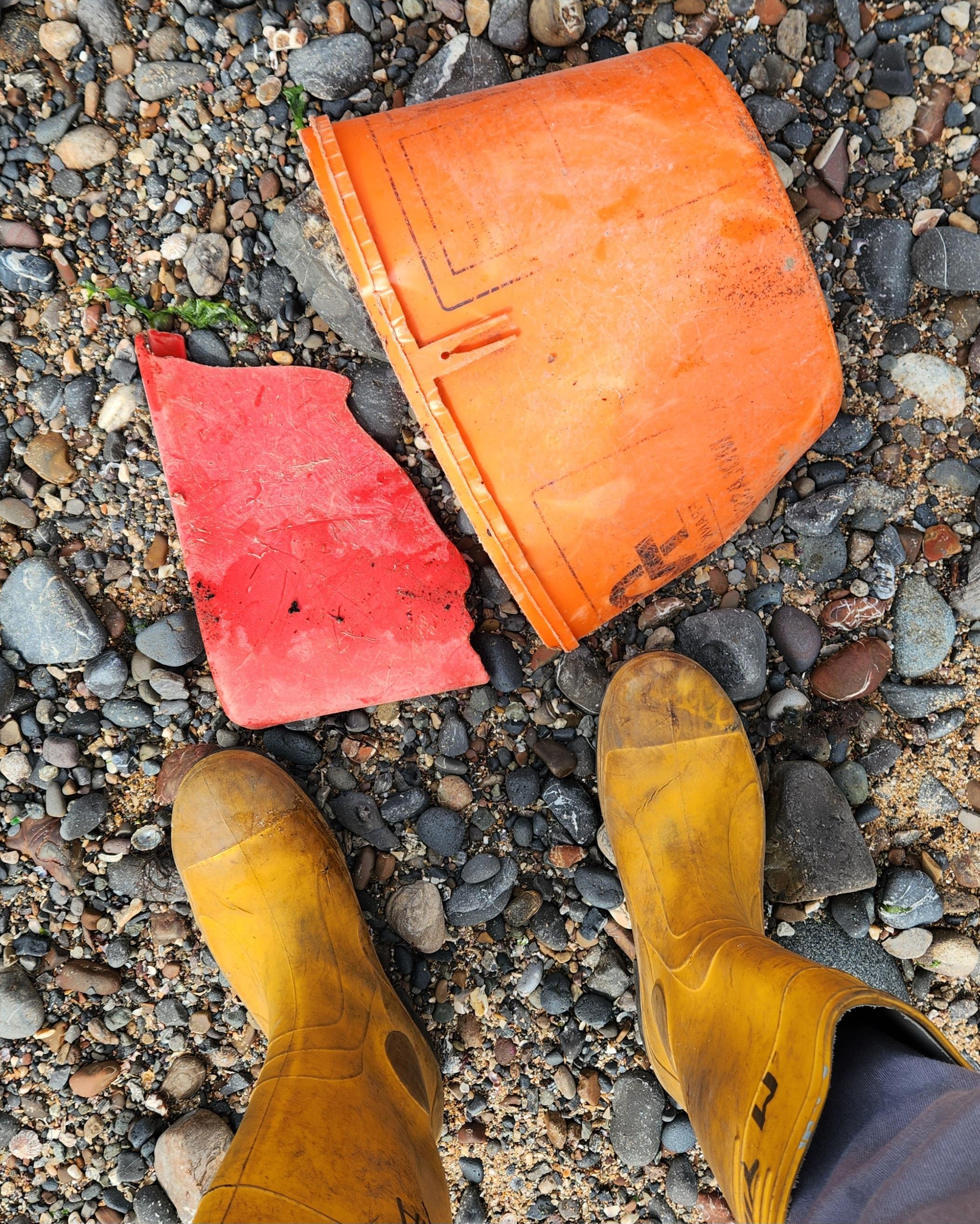 Starfish Orange