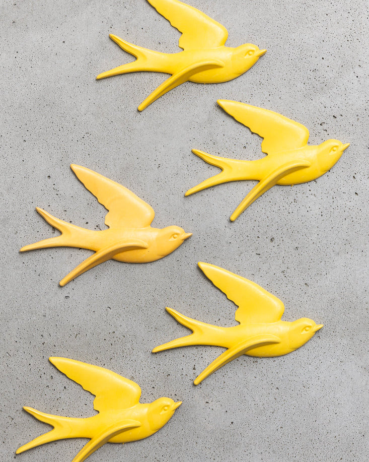 Starfish Orange
