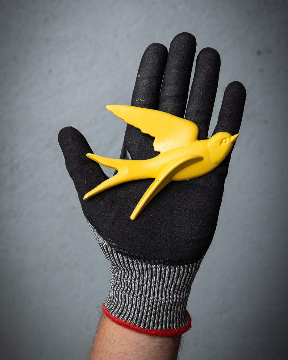 Starfish Orange
