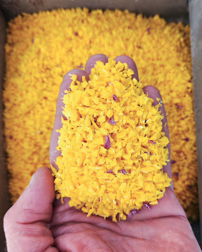 Sea Lemon